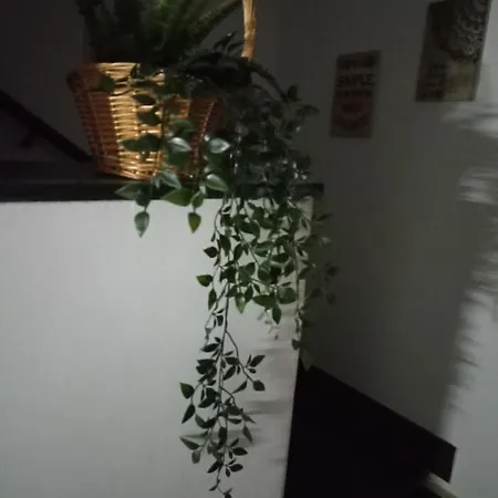 Vilarade Hostel *